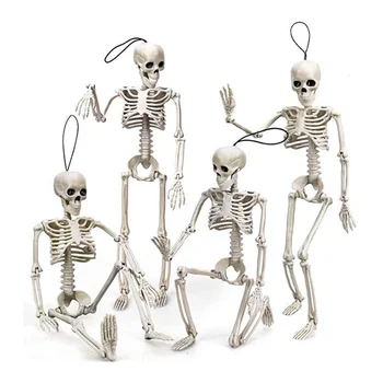 Подвижный скелет, модель поддельных костей черепа, 40 см, Скелет, украшения для Хэллоуина, Забавная игрушка, Медицинское учебное оборудование, школьные принадлежности
